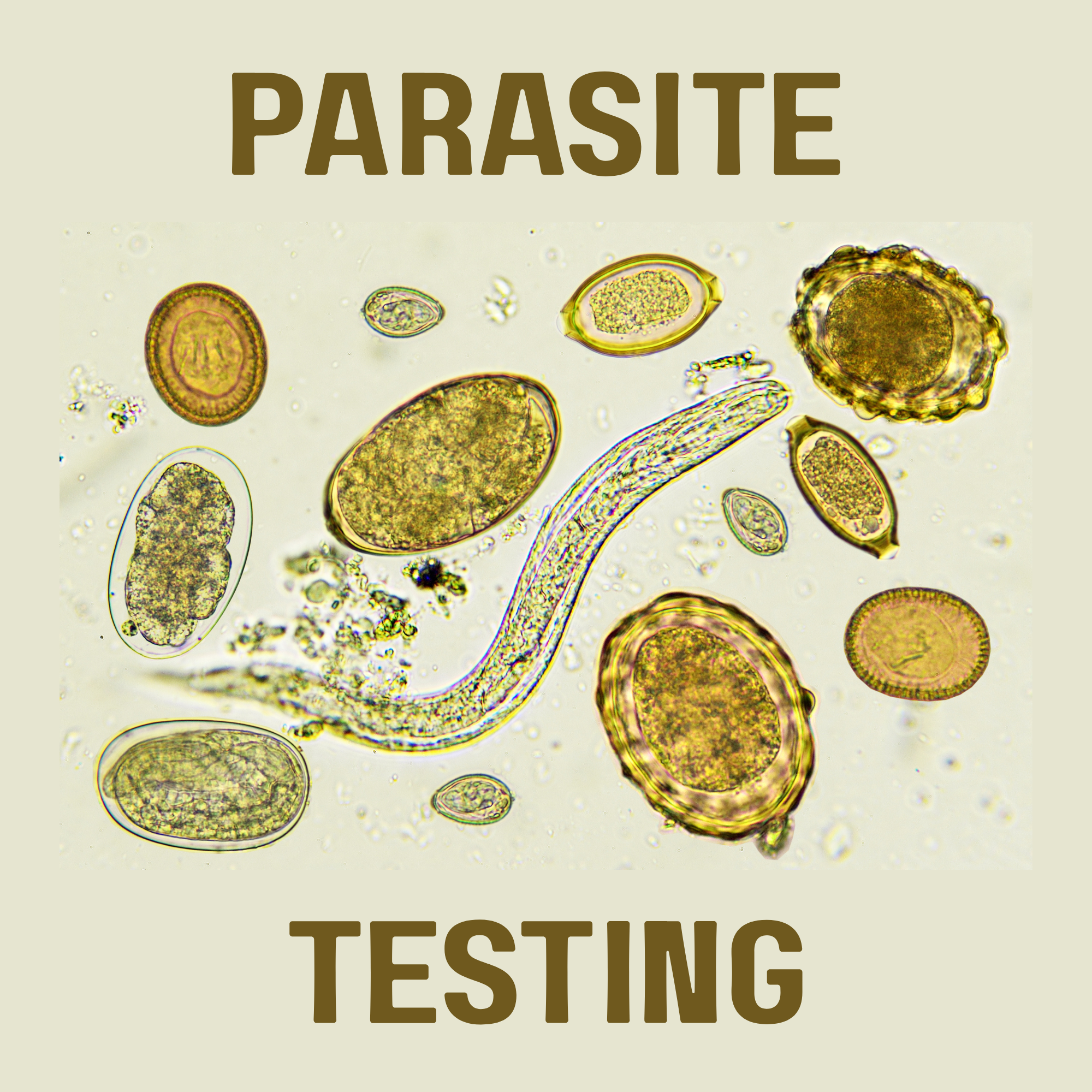 Parasite Testing