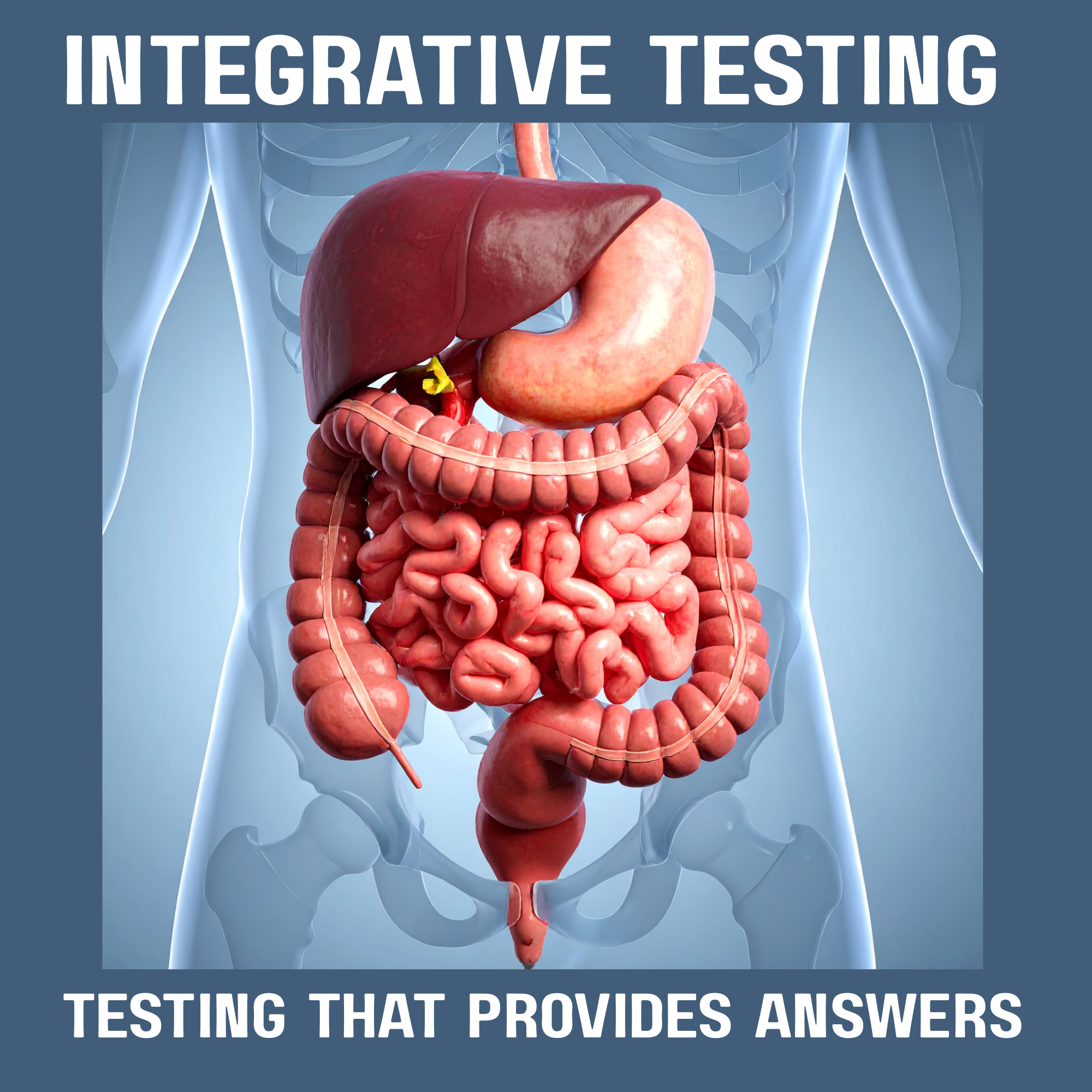 Integrative and Holistic Testing