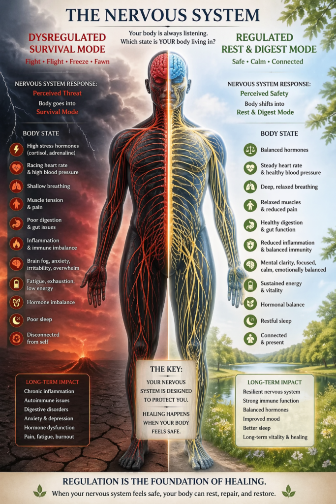 Current image: Split illustration of the human nervous system showing dysregulated fight-or-flight state on one side and calm regulated rest-and-digest state on the other, highlighting effects on inflammation, digestion, brain function, and overall health.