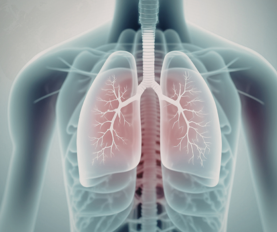 Natural support for COPD and asthma including herbal tea, mullein tincture, and oxygen support capsules to improve breathing and lung health
