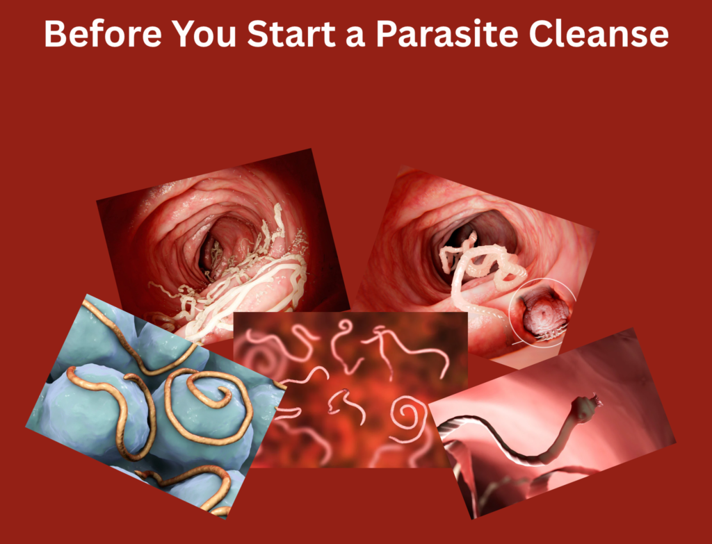 Current image: Before-you-start-a parasite-cleanse-blog